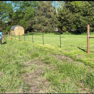Photo of Fowler Fencing