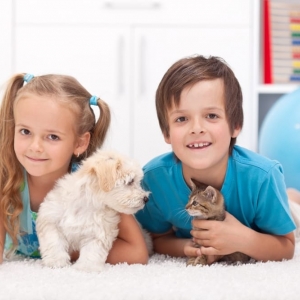 Aurora Steamrite Carpet, Upholstery, and Air Duct Cleaning