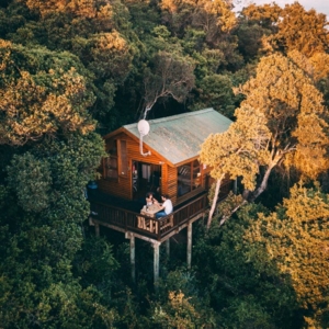 Photo of Life Elevated Imagery