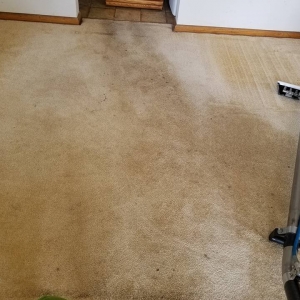 Photo of Cardinal Carpet Care