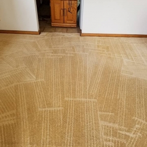 Photo of Cardinal Carpet Care
