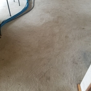 Photo of Cardinal Carpet Care