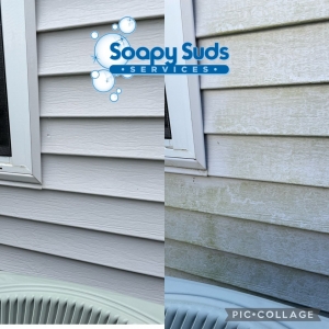 St. Charles Soapy Suds Services