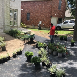 Photo of Sullivan's Landscaping & Lawn Service