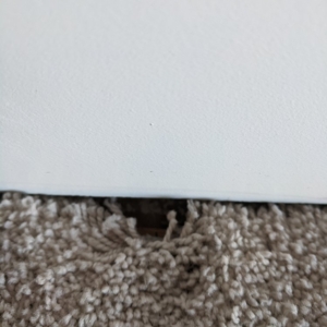 Photo of San Diego Carpet Repair and Dying