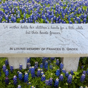 Photo of Boulder Designs of DFW