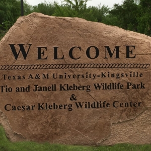 Photo of Boulder Designs of DFW