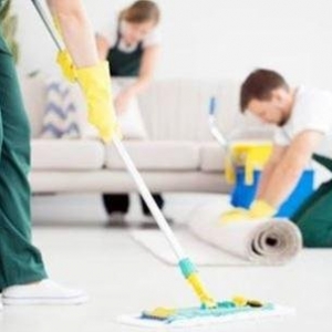 Photo of Deluxe Carpet & Air Duct Cleaning