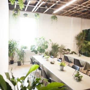 Photo of Art Terrarium