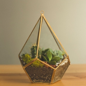 Photo of Art Terrarium
