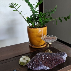 Photo of Art Terrarium