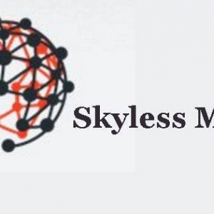 Photo of Skyless Marketing