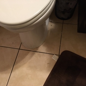 Photo of Castle Contractor