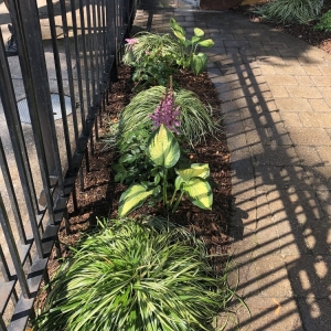 Photo of Medina Lawncare