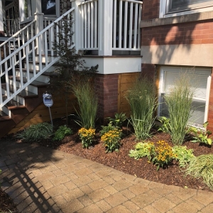 Photo of Medina Lawncare
