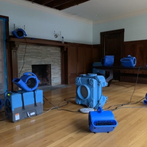 Photo of All Action Water Damage