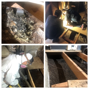 Photo of All Action Water Damage