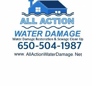 Photo of All Action Water Damage