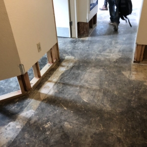 Photo of All Action Water Damage