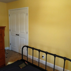 Photo of Color Changes