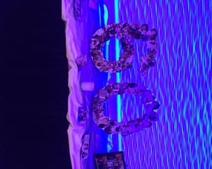 Photo of The Fez Banquet & Wedding Center