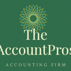 Photo of The Account Pros