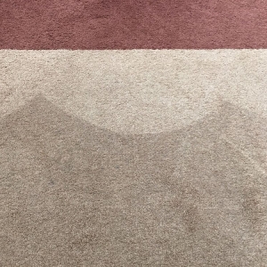 Photo of ASA Janitorial and Carpet Cleaning