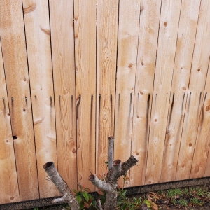 Photo of Serrato's Burglar Bars & Custom Fencing