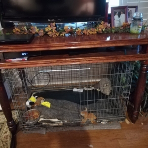 Photo of Duff's Handyman And Home Improvement