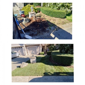 Monroe Evergreen Martinez Landscaping