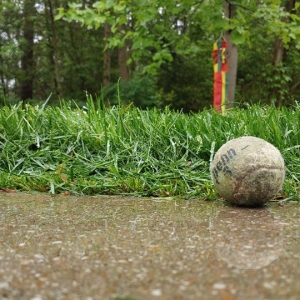 Photo of Pro-Lawn-Plus Inc