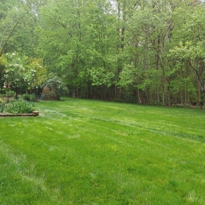 Photo of Pro-Lawn-Plus Inc