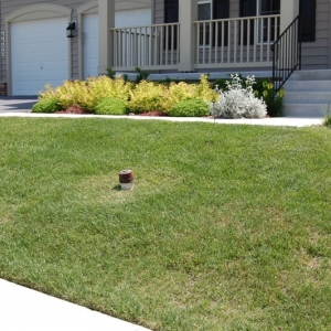 Photo of Pro-Lawn-Plus Inc