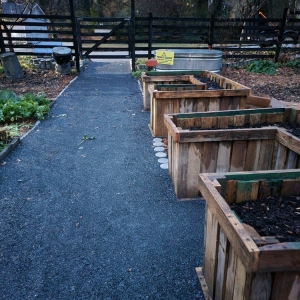 Photo of Community Foodscapes