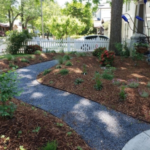 Photo of Community Foodscapes