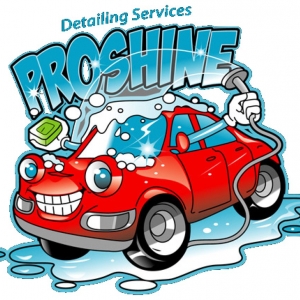 Photo of Pro Shine Detailing Services