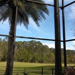 Jacksonville Buddy's Screens