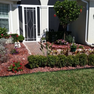 Photo of Honey Bee Lawn Service