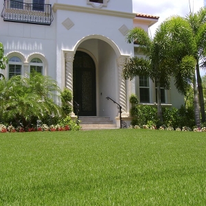 Photo of Honey Bee Lawn Service