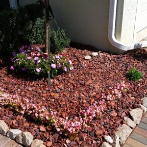 Photo of Honey Bee Lawn Service