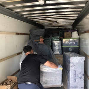 Photo of The Movers 123