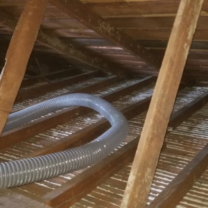 Photo of Ideal Attic Insulation