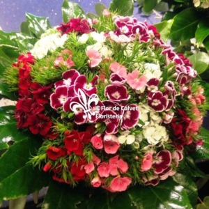 Photo of Flor de Calvet