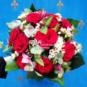Photo of Flor de Calvet
