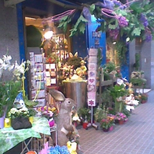 Photo of Flor de Calvet