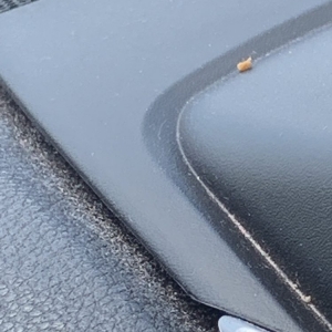 Photo of One Stop Car Wash & Oil Change