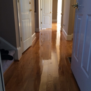 Photo of DM Carpet Cleaning