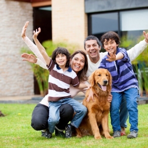 Atlanta DM Carpet Cleaning