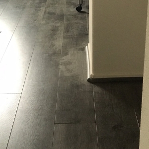 Photo of RateMyHousekeeper