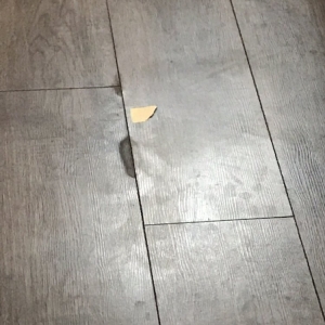 Photo of RateMyHousekeeper